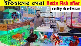 Aquarium Fish Price In katabon 2024🐠🐠 Aquarium Fish Price  Aquarium  AR Rahman aquarium 🐠🐠 [upl. by Leilamag]