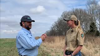 Successful Wild Quail Habitat Management [upl. by Sacken]