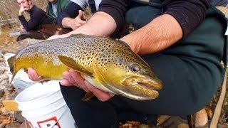 Boise River Fish Population Surveys 2013 [upl. by Naujej]