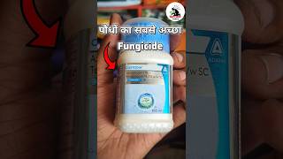 पौधों के लिए यह है सबसे बेस्ट Fungicide  ytshorts youtubeshorts bestfungicide [upl. by Bartolome199]