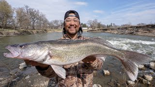 Public River Spillway Walleye Shore Fishing CATCH CLEAN COOK [upl. by Haelat733]