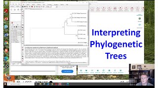 Interpreting phylogenetic trees [upl. by Ahtanaram350]