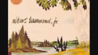 Albert Hammond Jr  Scared plus lyrics [upl. by Llenol190]