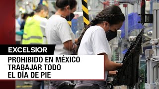 Senado aprueba la Ley Silla ¿Cómo beneficia a los trabajadores mexicanos [upl. by Alessandro395]