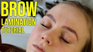 HD Brow Lamination Step By Step Tutorial Big Brows [upl. by Dalston]