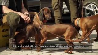 SchweißhundFachtagung in Katalinpuszta  17052016 [upl. by Gallager]