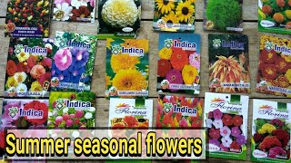 गर्मियों में बीज से लगाए जाने वाले पौधे  Summer seasonal flowers from seeds [upl. by Ecarret]