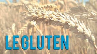 Le Gluten Cest quoi [upl. by Esilegna]