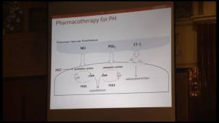 Hipertensión pulmonar persistente Fisiopatología y novedades en el tratamiento [upl. by Ellord935]