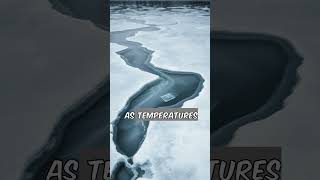 How Ice Floats on Water funfacts hydration lifewithwater shorts [upl. by Arramahs]