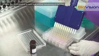 Cell Proliferation Assay Kit Video  Biovision Inc [upl. by Riegel]