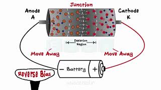 Diodes  What Are Diodes  PN Junction  Forward Bias  Reverse Bias  Zener Diodes [upl. by Snowber]