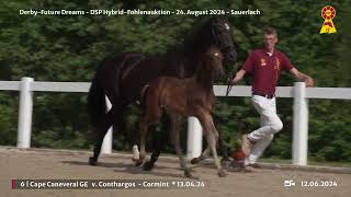 Lot 6 v Conthargos  Cormint [upl. by Heda]