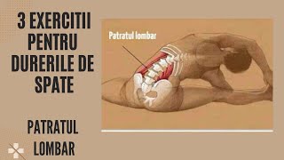 DURERI DE SPATE  3 Exercitii Simple Pentru Relaxare  Patratul Lombar  Ovidiu Kurti [upl. by Cerelia700]