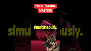 MindBlowing German Shepherd Intelligence MultiTasking Watcher Factbinder shorts [upl. by Lionel447]