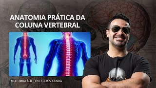 AO VIVO ANATOMIA PRÁTICA DA COLUNA VERTEBRAL  anatomiafacil [upl. by Annawaj]