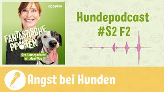 Wenn Hunde Angst haben  zooplus Hundepodcast  S2 F2 [upl. by Davies65]