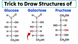 Easiest Trick to draw structures of Glucose Galactose and Fructose  J Biology [upl. by Lenore]