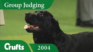 Labrador Retriever wins Gundog Group Judging at Crufts 2004 [upl. by Konrad]