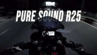 TOP SPEED amp PURE SOUND YAMAHA R25 [upl. by Adnilem]