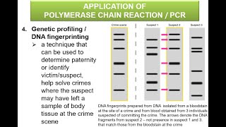 Polymerase Chain Reaction PCR amp its application [upl. by Aloisius]