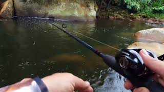 Pesca sin capturas cerca de Fusa [upl. by Bessy]