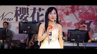 新櫻花演歌場 宜萱 思鄉情歌 2O24年11月1O日 [upl. by Alah44]