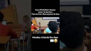 Monkey 🐵 in Classroom📖 IITMADRAS Monkey 🐒😂iitmadras monkey classroom iitlifenewfuniitjee [upl. by Hbaruas469]