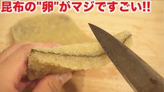 大量の昆布のquot卵quotを使って絶品つまみを作る！！ [upl. by Rogozen]