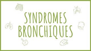 Sémiologie Respiratoire  Introduction aux Syndromes Bronchiques [upl. by Magas]