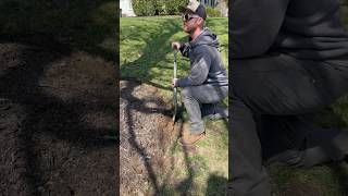 Mulch madness is here 👀 lawncare thatlawndude [upl. by Atteugram]