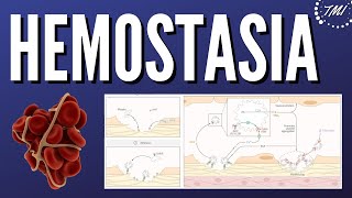 Hemostasia Explicada Claramente [upl. by Khosrow]