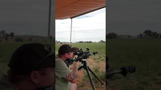 65 Creedmoor Suppressed [upl. by Ordnasela]