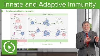 Innate and Adaptive Immunity  Cellular Pathology [upl. by Yendroc]