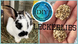 Diy Kaninchen Leckerlies selber machen  Gesunder Kaninchenschmaus  Folge 1  Lenatur [upl. by Rintoul]