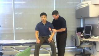 Shoulder Lateral Glide Sitting [upl. by Homovec]