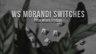 WS Morandi Linear Switch  An Easy Recommendation [upl. by Aruol168]