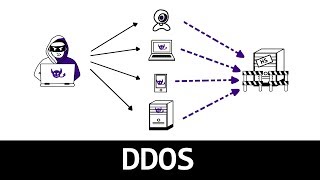 Comprendre lattaque DDOS en 4 minutes [upl. by Enautna775]