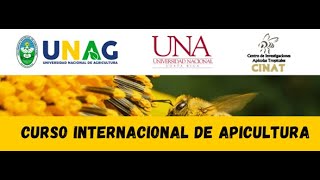 CURSO INTERNACIONAL DE APICULTURA SESIÓN 1 [upl. by Bolte]