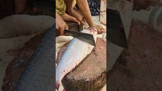 Amazing Special Perfect Size Rohu Fish Cutting Skills In Bangladesh Fish Market part40😱 shorts [upl. by Medeah]