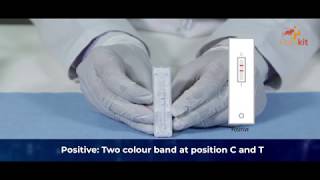 Rapikit Syphilis VDRL Rapid Test Instructional Video [upl. by Oflodor455]