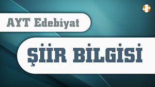 AYT Edebiyat  Şiir Bilgisi 4 Net Cepte [upl. by Celik671]