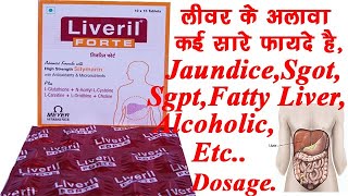 Liveril Forte Tablet BenefitsDosageSide Effects Liver Tonic  Meyer🔥🔥 [upl. by Haduhey]