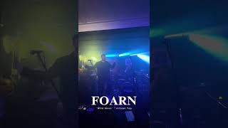 FOARN  Wild Skies Live at the Artisan Tap [upl. by Sherer776]