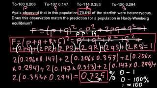 How to solve HardyWeinberg problem with four alleles [upl. by Anitnegra]