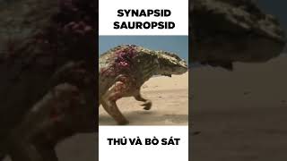 Tổ tiến của Thú và Bò sát Synapsid và Sauropsid dinosaur synapsid sauropsid tiếnhóa dongvat [upl. by O'Donovan]