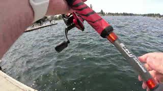 lake meridian kent wa trout fishing [upl. by Orofselet]