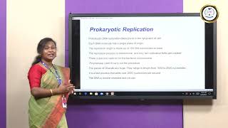 DNA Replication in Prokaryotes vs Eukaryotes  Ms Jesia Persis Preethi N [upl. by Ssew]