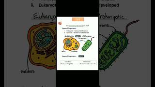 Cell NEET NCERT Cell Class 11 Biology Cell Class 9 Science [upl. by Bensky]