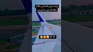 Pakistan halat dhak kar Dubai ka ray ha😱😭✈️ azan video youtubeshort aimabaig azma kingfahad [upl. by Willem]